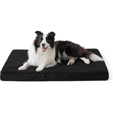 Orthopedic Dog Bed Large