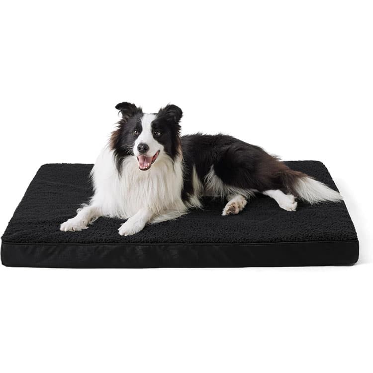 Orthopedic Dog Bed Large