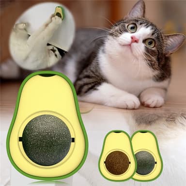 Cat Toy Interactive Ball Set