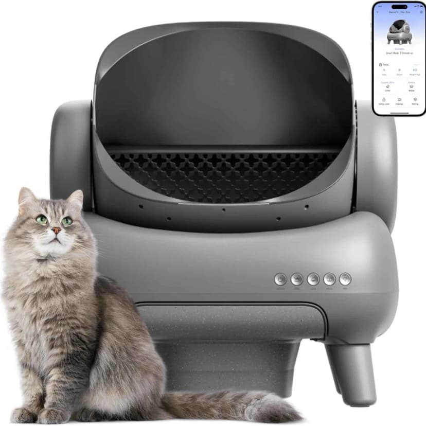 Self-Cleaning Litter Box