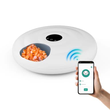 Automatic Pet Feeder Timer