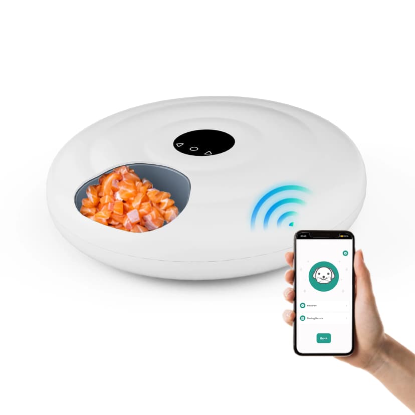 Automatic Pet Feeder Timer